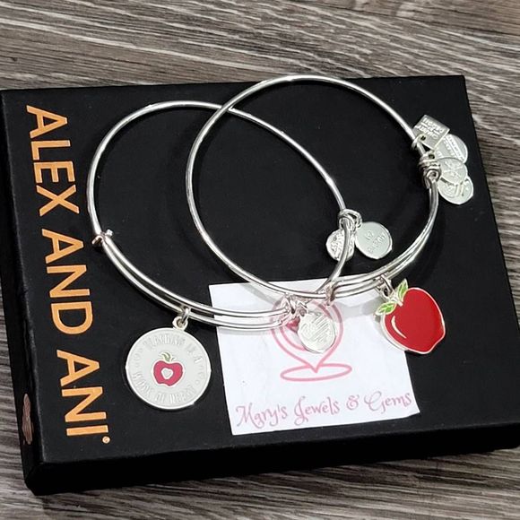 Alex and Ani Teacher Appreciation Bangle Bracelets - Picture 3 of 9